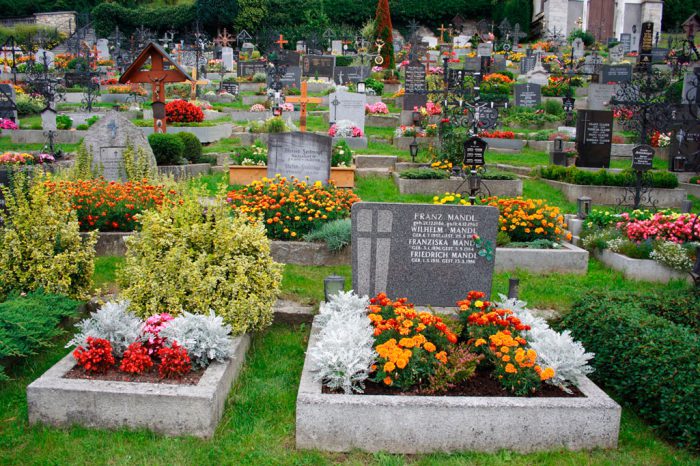 Virágok a temetőbe