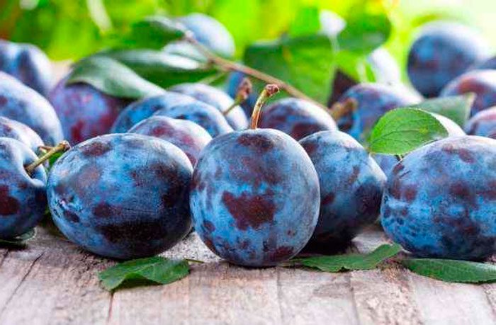 Propriétés utiles des prunes