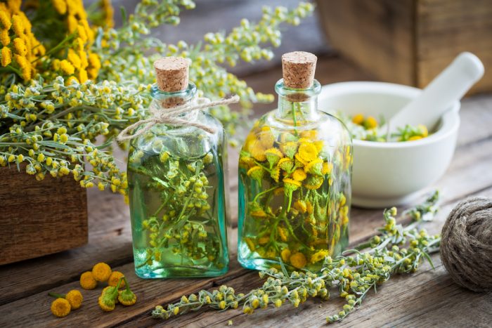 Useful properties of tansy