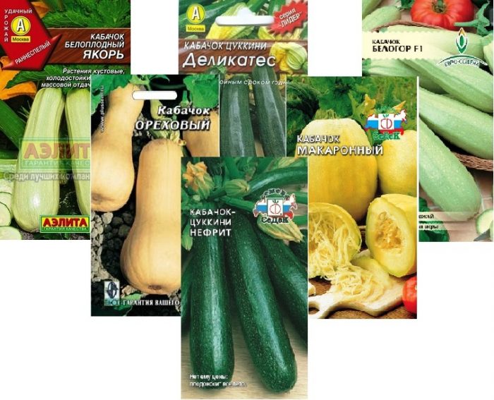 Tipi e varietà di zucchine