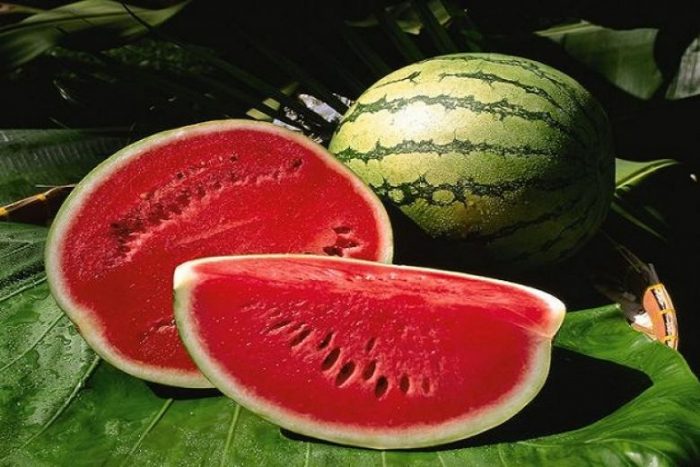 Typer og varianter av vannmeloner