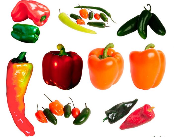 Tipi e varietà di pepe