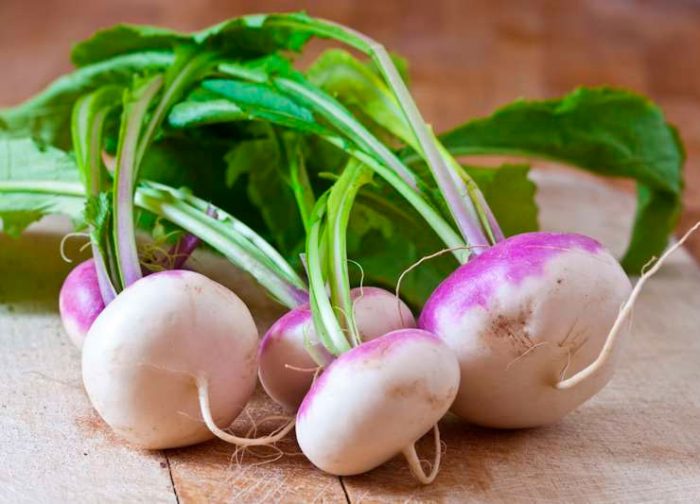 Mga kapaki-pakinabang na katangian ng mga turnips