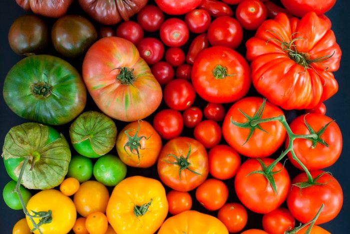 Tipos e variedades de tomates