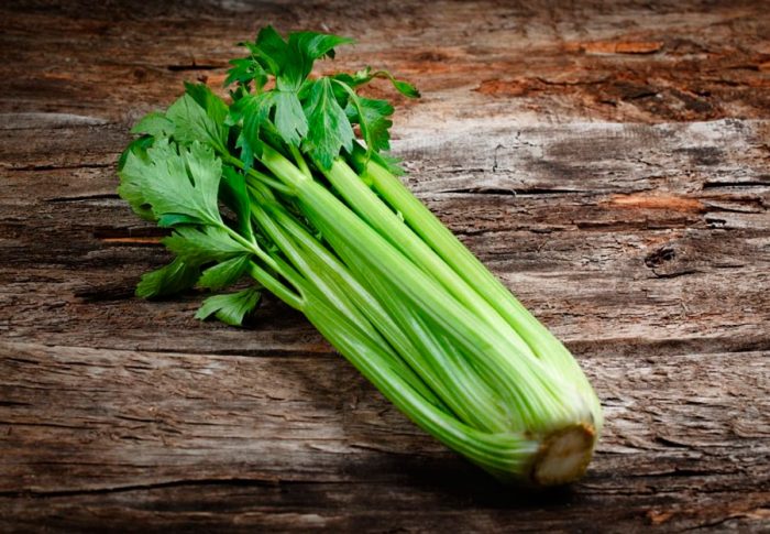 Stabljika celera (petiolate)