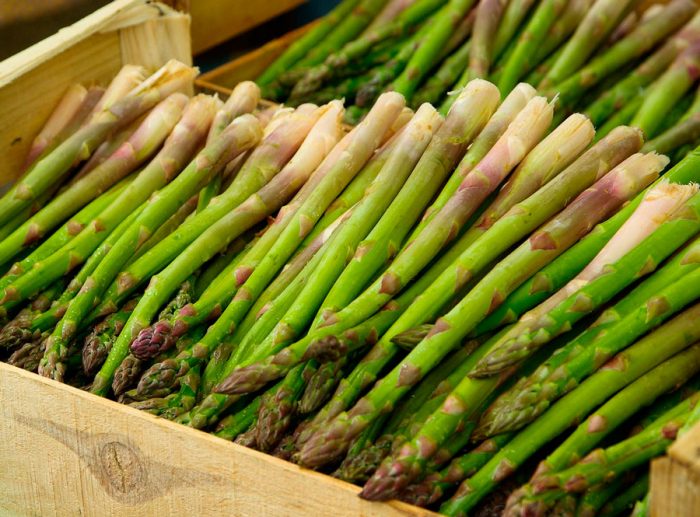 Opsamling og opbevaring af asparges