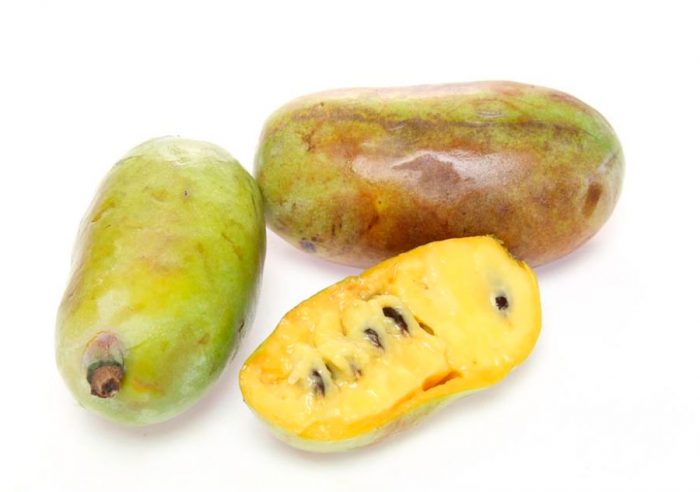 Proprietà utili di papaia