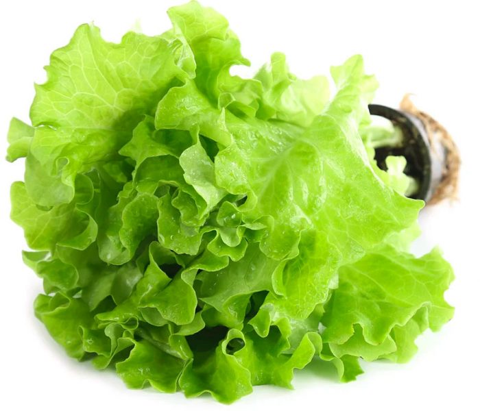 Salada de folhas