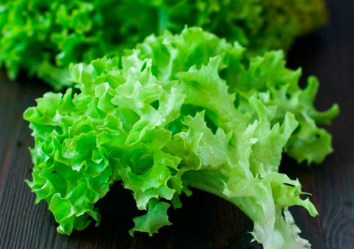 Les propriétés curatives de la salade