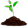 Heliconia zimmerpflanze - Die ausgezeichnetesten Heliconia zimmerpflanze analysiert